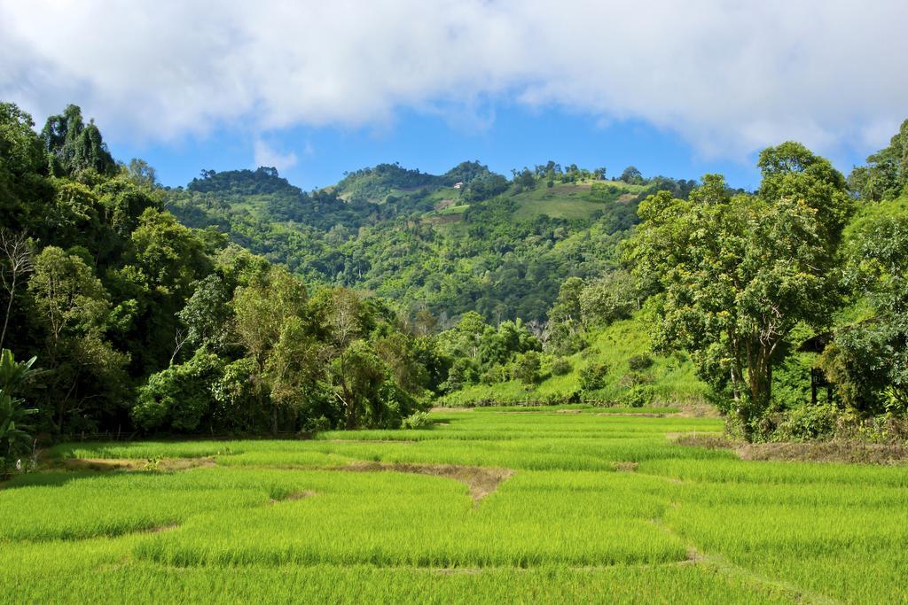 Hmong Hilltribe Lodge Маэ-Рим Экстерьер фото
