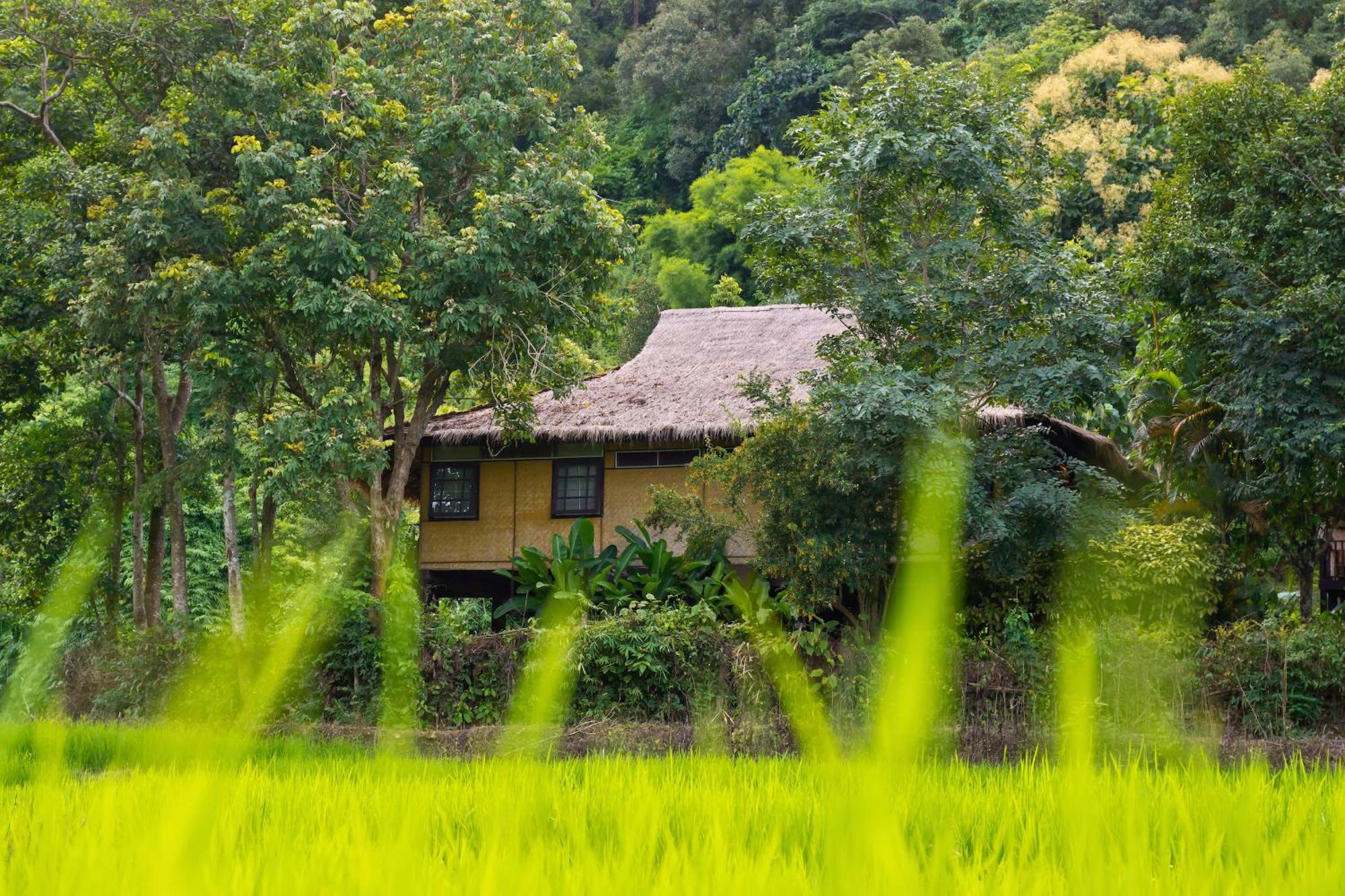 Hmong Hilltribe Lodge Маэ-Рим Экстерьер фото